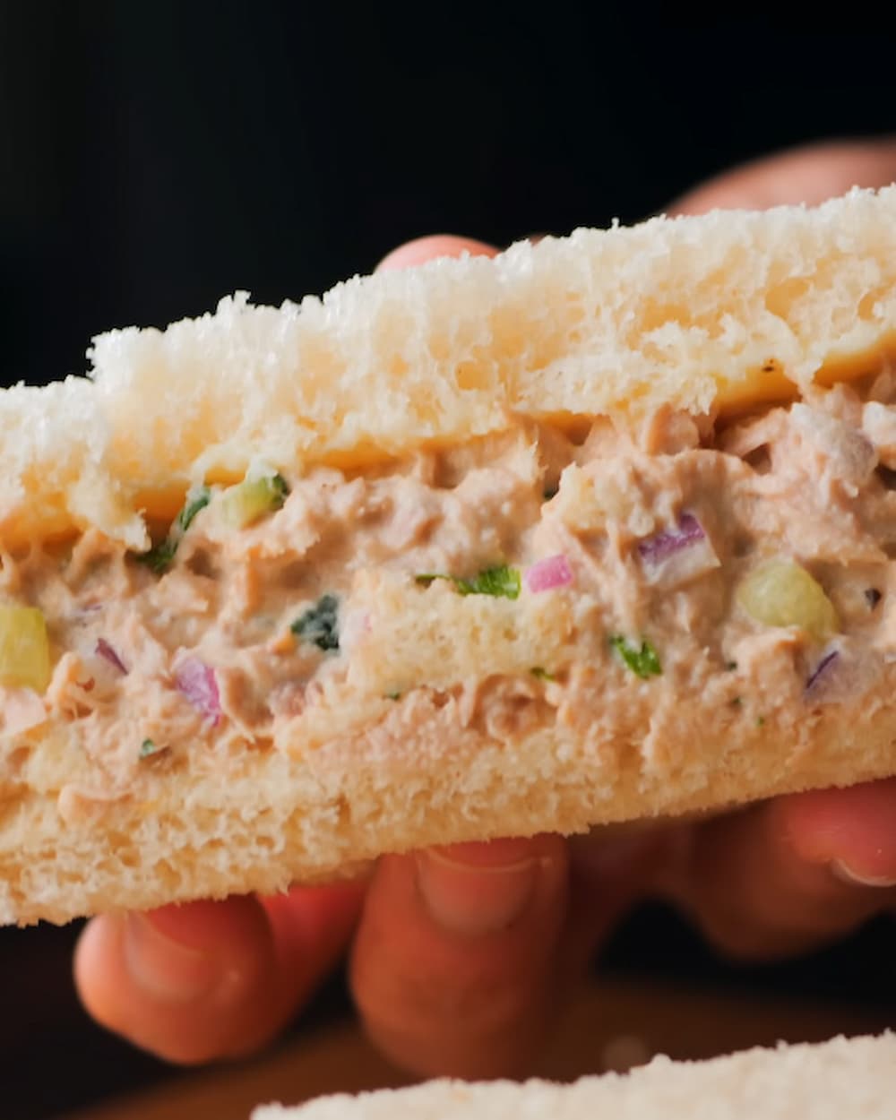 a piece of tuna sandwich