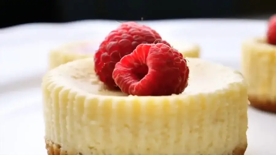 Mini Cheesecake Recipe on a serving plate