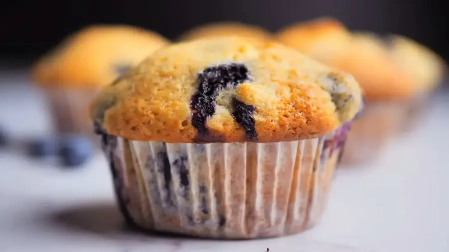 Blueberry Muffins placed on a serving counter