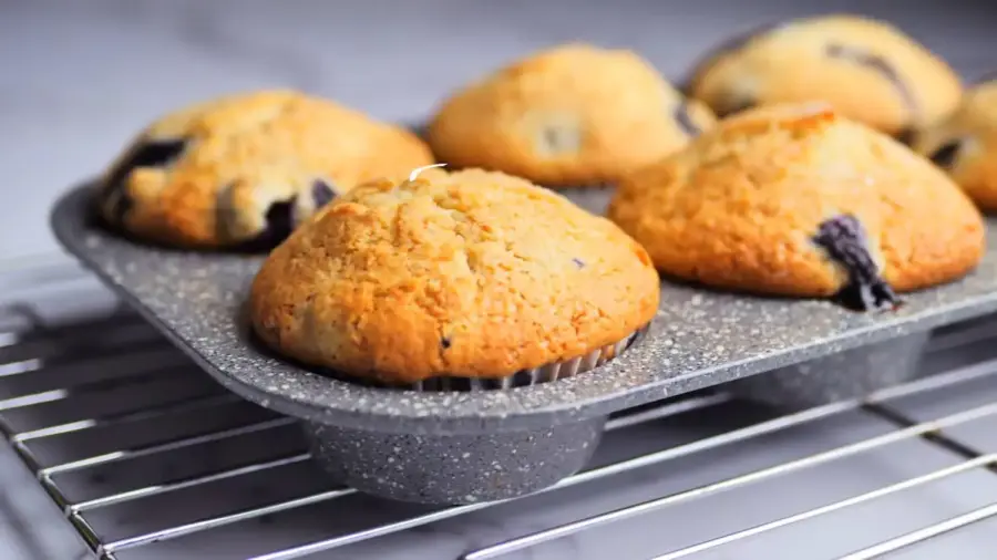 Blueberry Muffins in a muffin pan