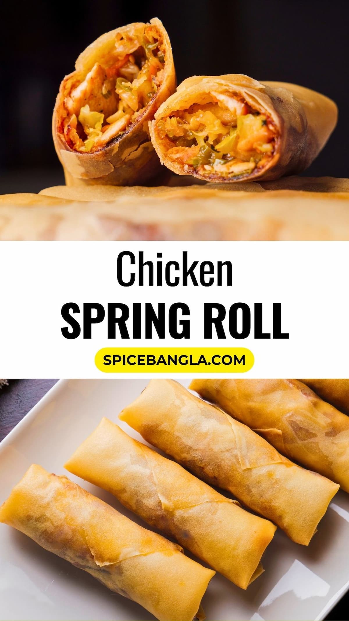 Chicken Spring Rolls Recipe Easy Spring Rolls Recipe