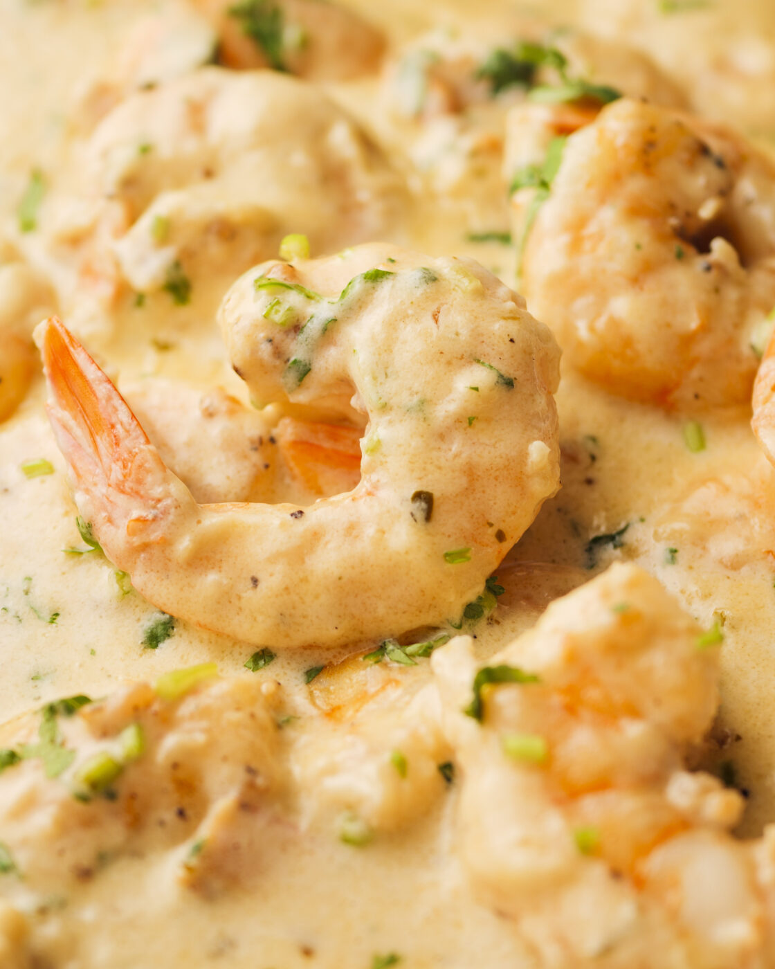 creamy garlic shrimp in a pan