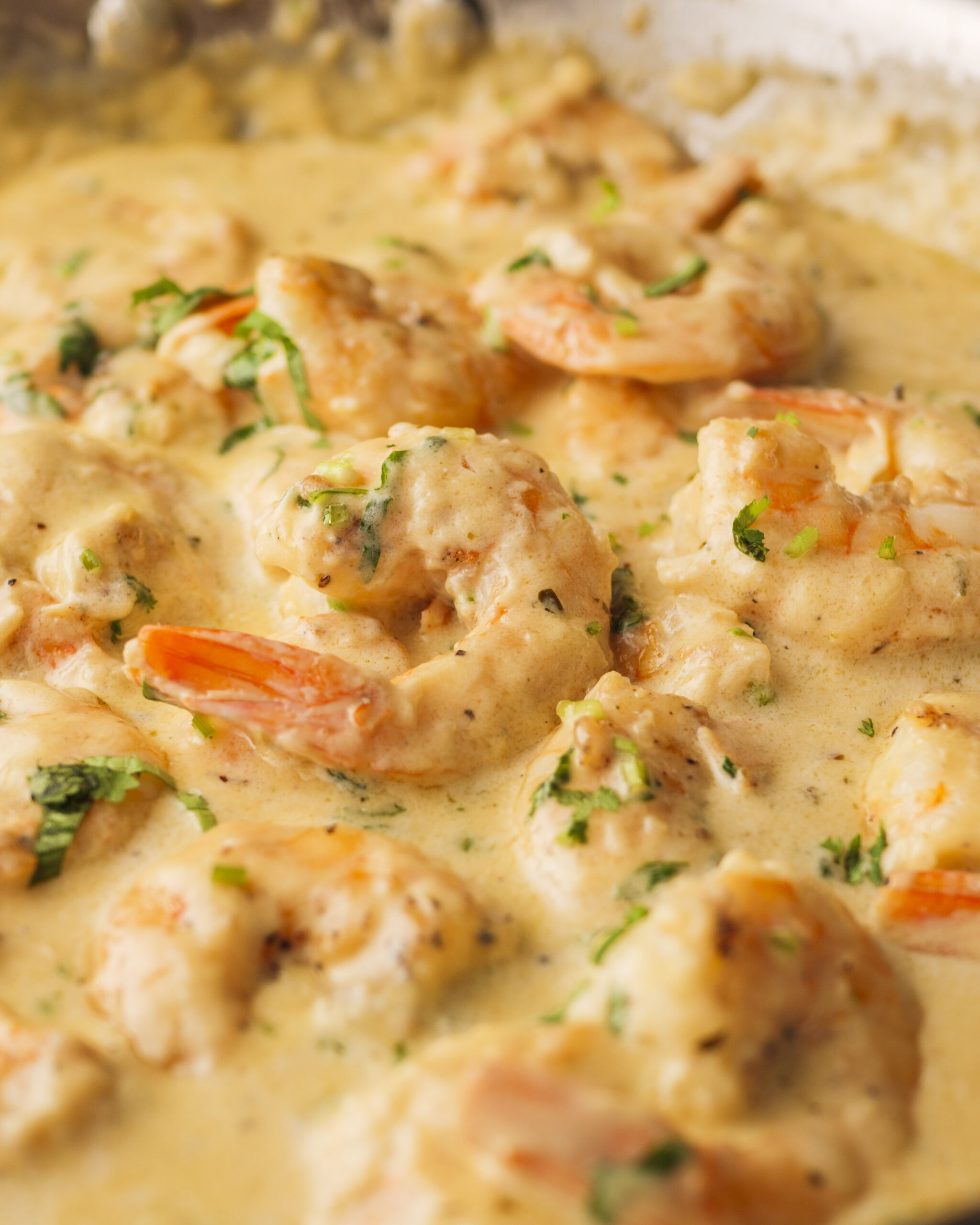 creamy garlic shrimp in a pan