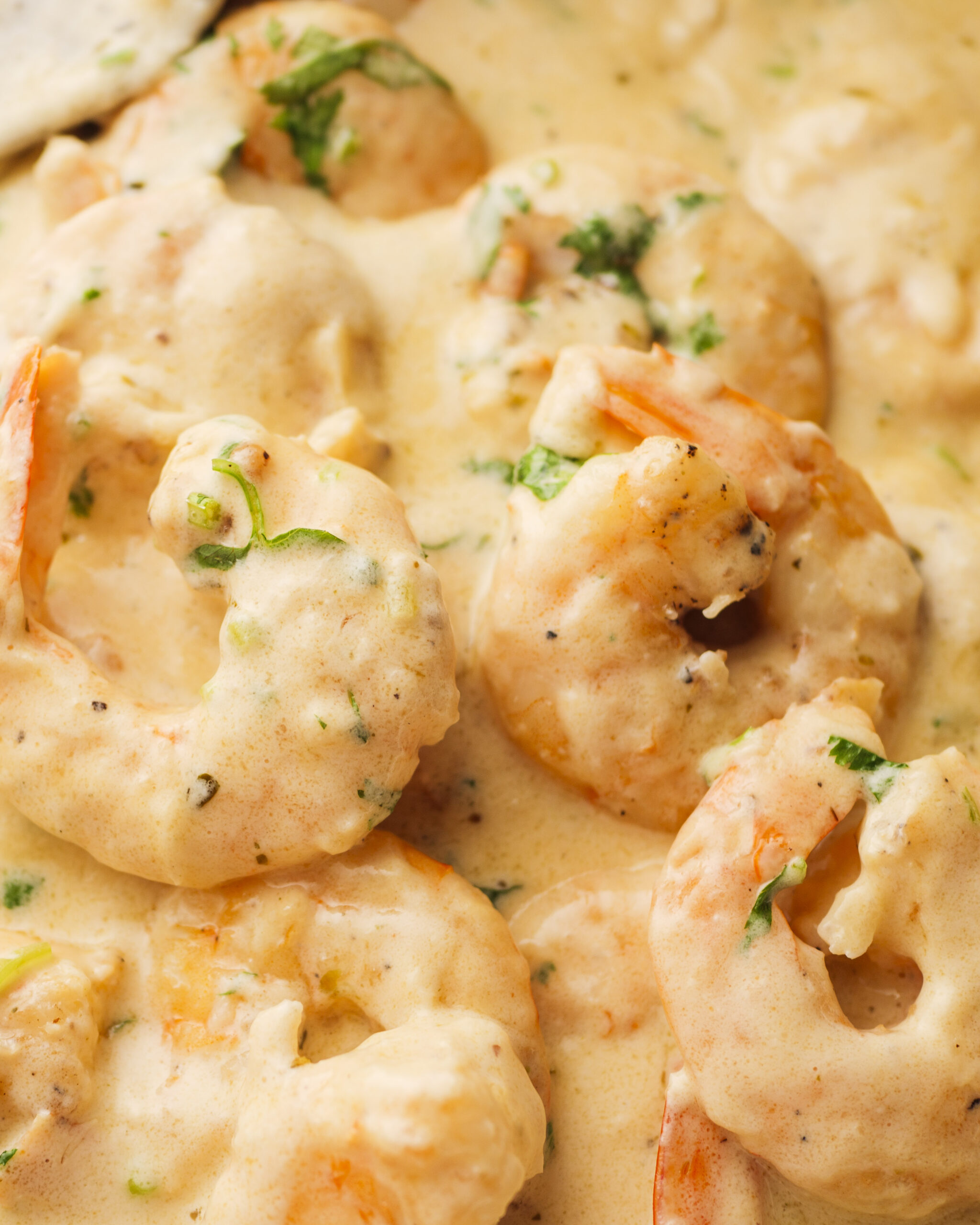 creamy garlic shrimp in a pan