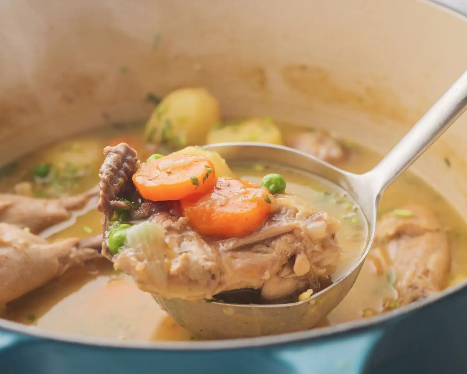 Chicken Stew Recipe in a Dutch oven