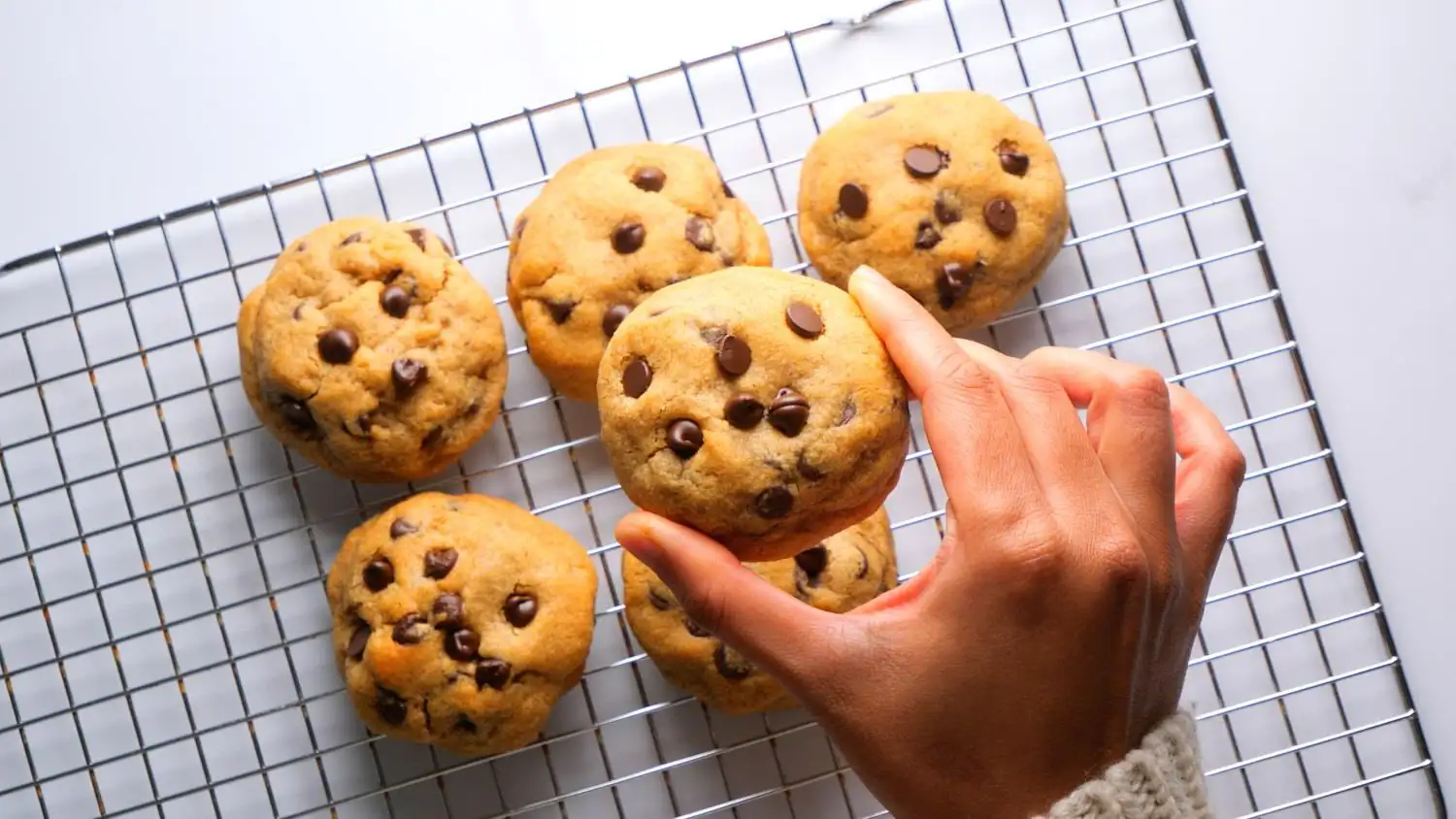 Peanut Butter Chocolate Chip Cookies on a wire rack